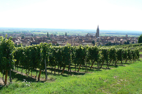 Burdeos, ruta del vino francesa