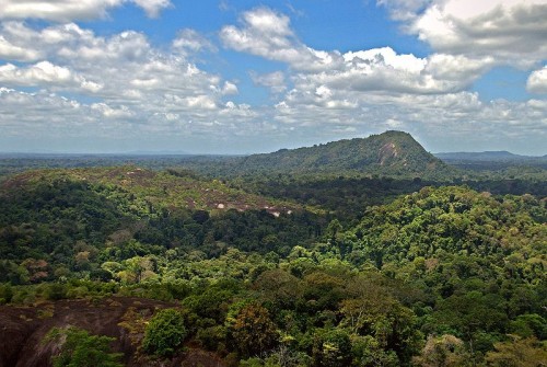 Visitar las selvas del interior de Suriname