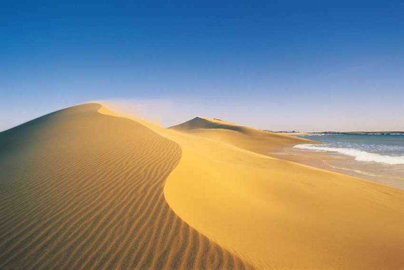 Cabo Polonio: un paraíso en la costa de Uruguay